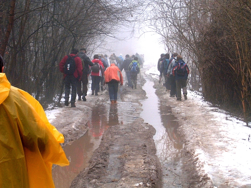 20100220 014.jpg